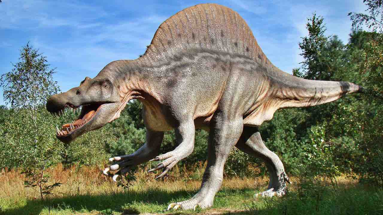 Dinosauro più grande trovato